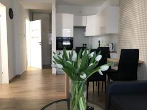 Apartamenty AP 8, Częstochowa